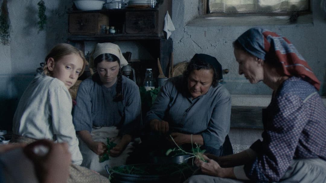 Vermiglio backdrop 17