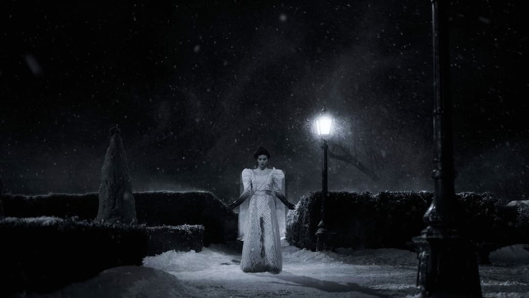 Nightmare Alley backdrop 16