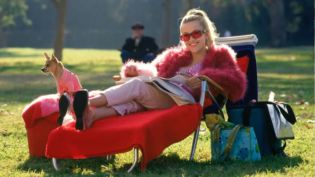 Білявка в законі backdrop 20