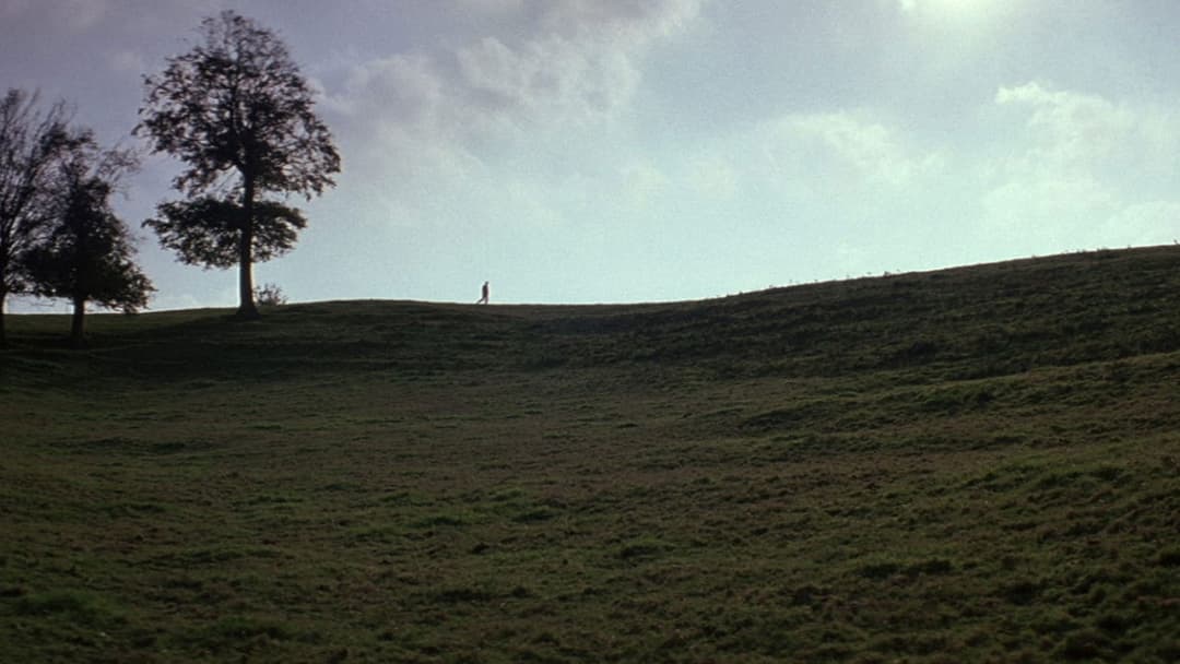 Humanité backdrop 9