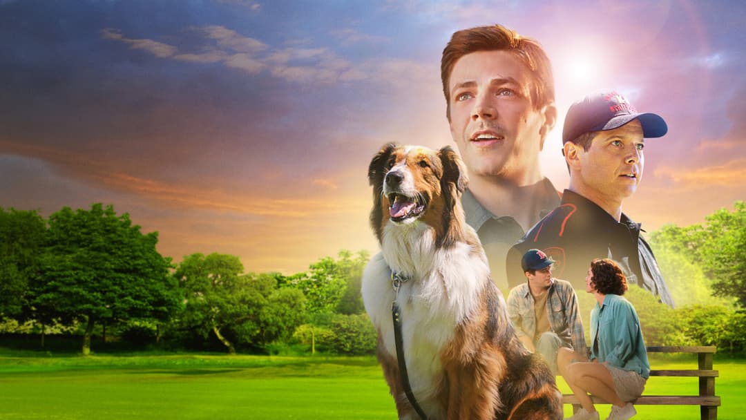 Rescued by Ruby backdrop 2