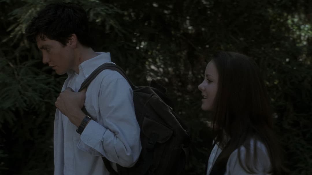 Donnie Darko backdrop 13