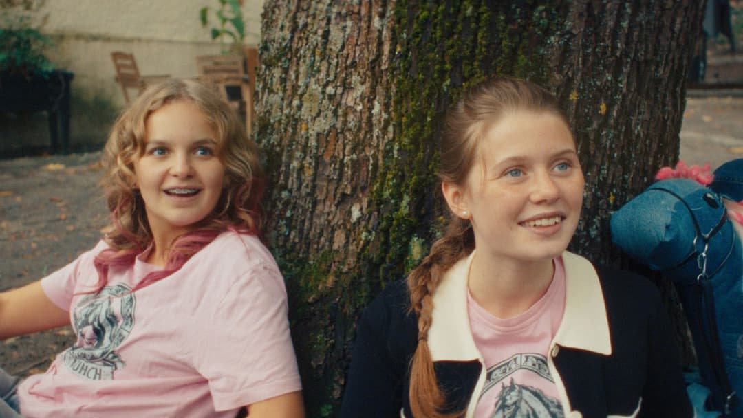 Pferd am Stiel backdrop 2