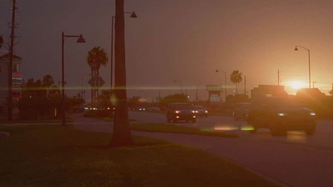 The Florida Project backdrop 9