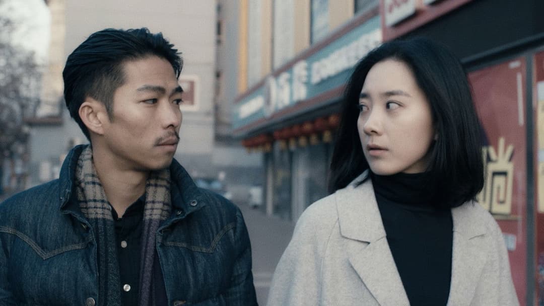 An Elephant Sitting Still backdrop 17