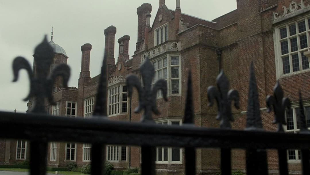 Wild Child backdrop 8