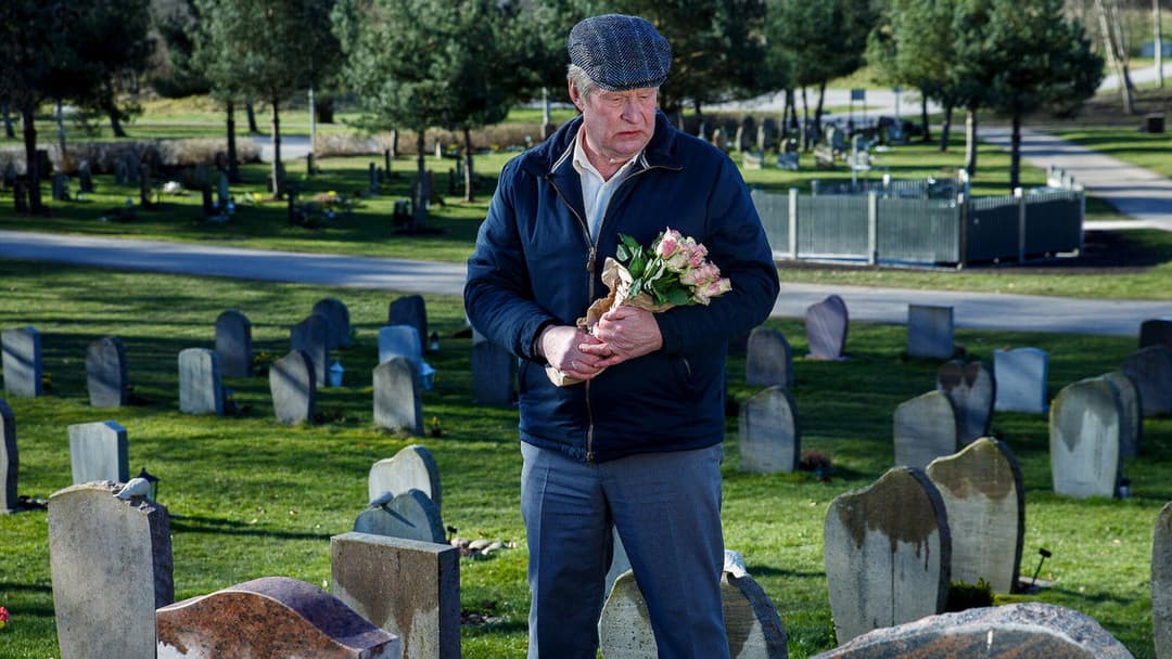 A Man Called Ove backdrop 8