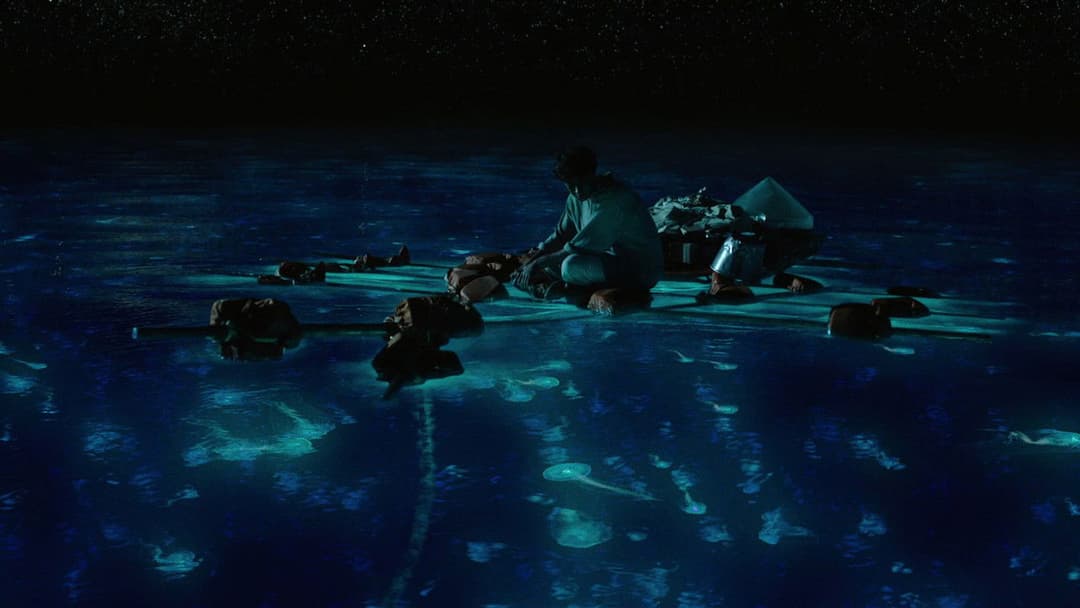 Життя Пі backdrop 16