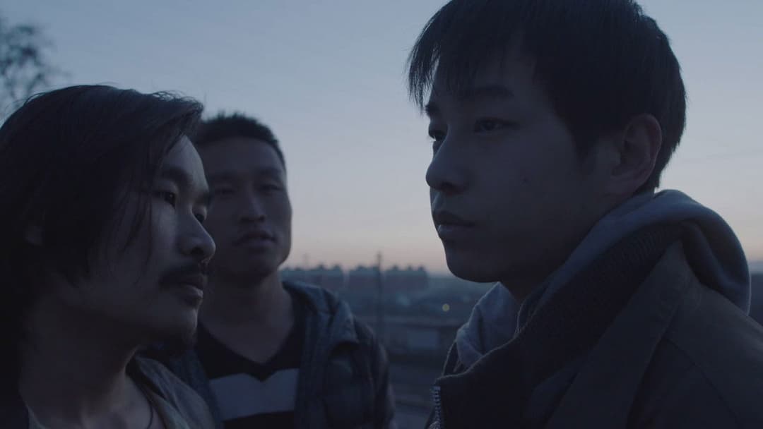 An Elephant Sitting Still backdrop 11