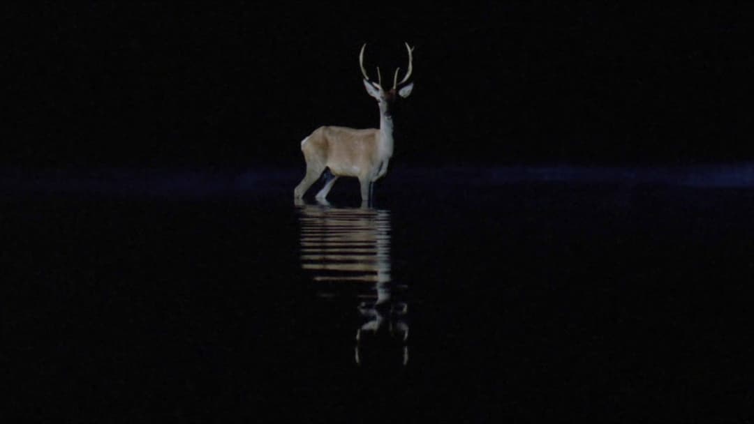 Underground backdrop 18