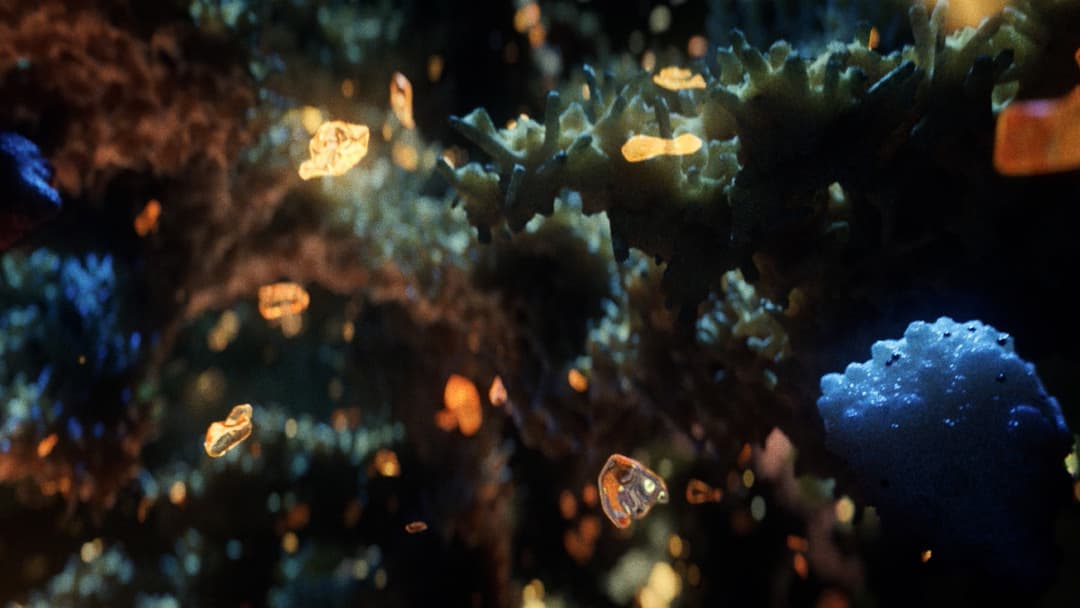 Неограновані коштовності backdrop 7