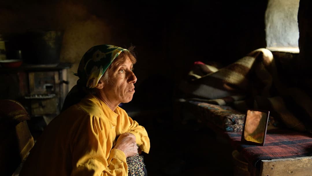 Honeyland backdrop 9