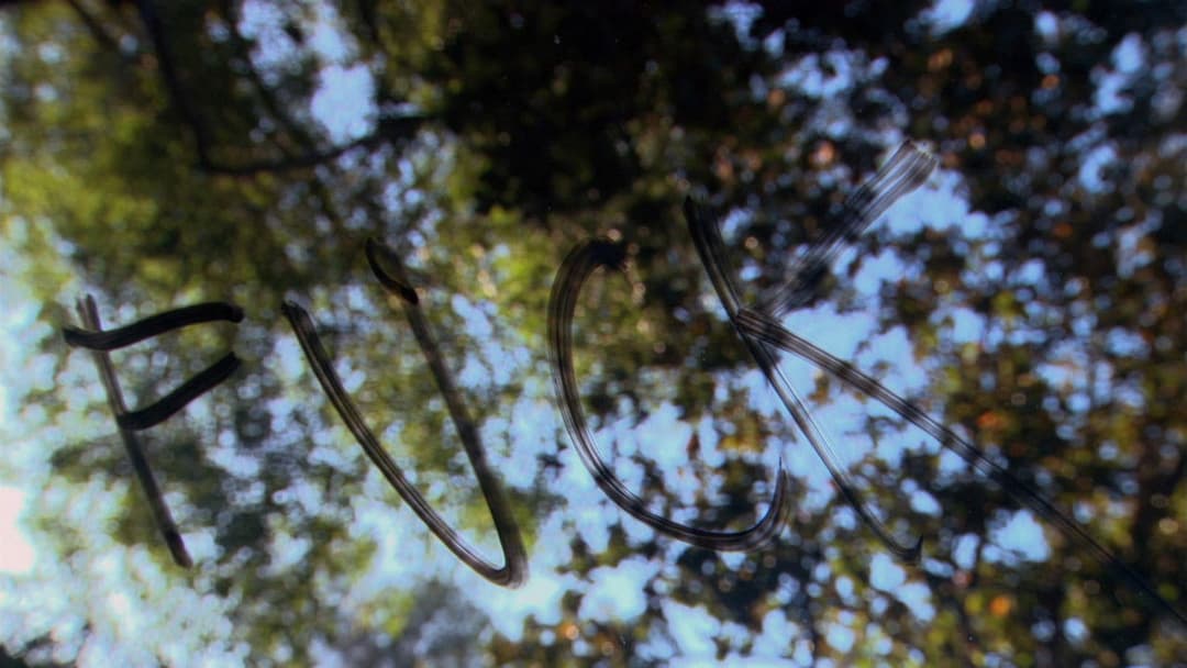 Я, ти і всі, кого ми знаємо backdrop 10