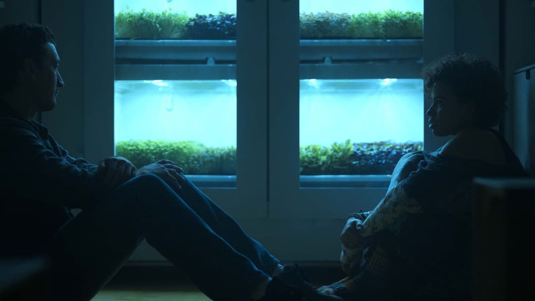 Спайдергед backdrop 19