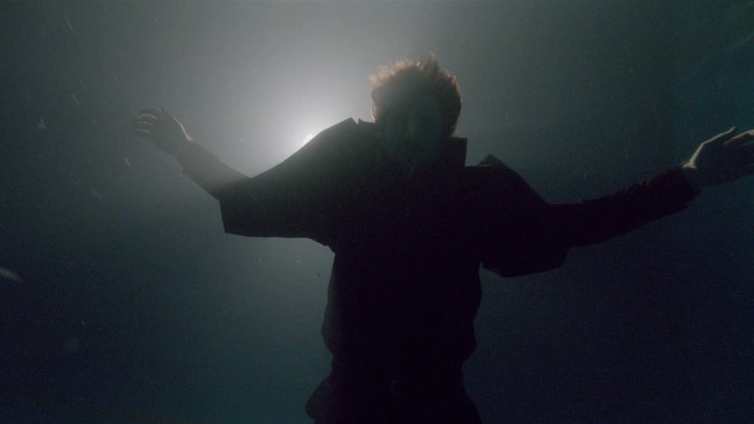 Knight of Cups backdrop 20