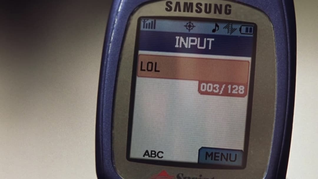 Cinderella Story backdrop 14