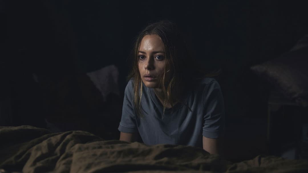 Viking Wolf backdrop 17