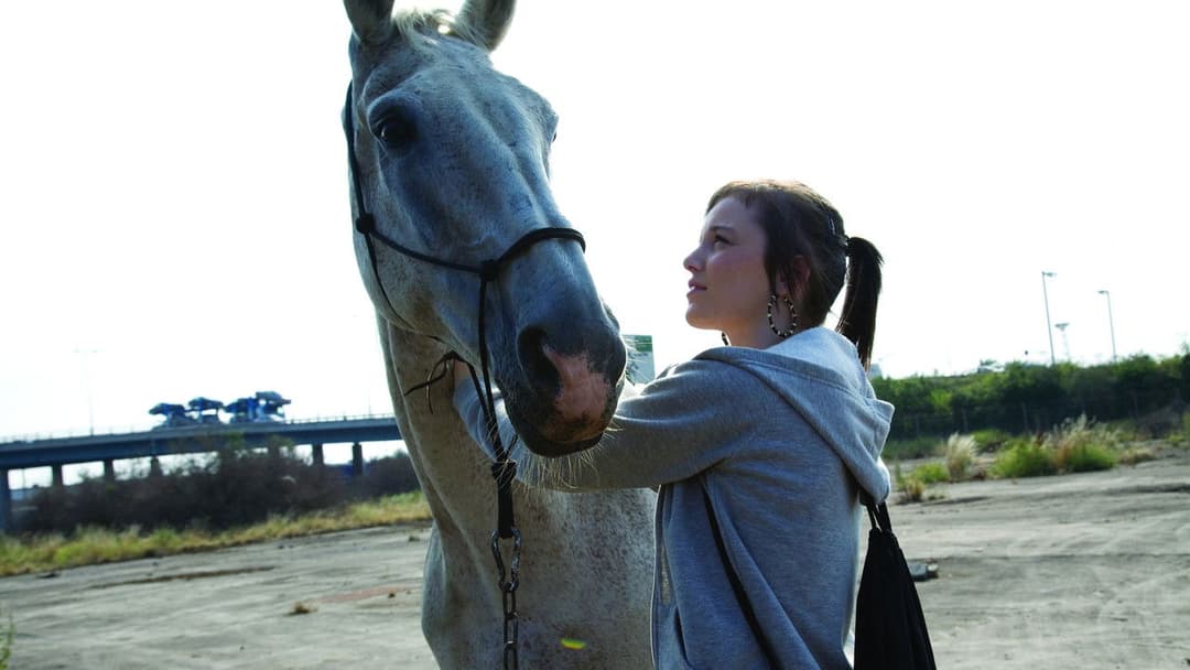 Fish Tank backdrop 10
