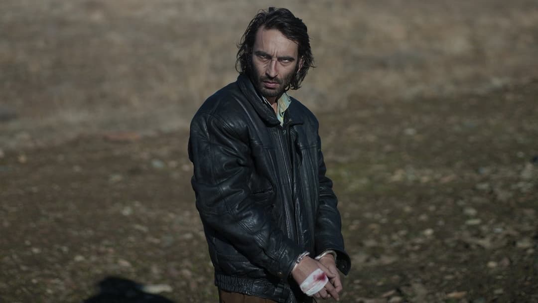 Once Upon a Time in Anatolia backdrop 3