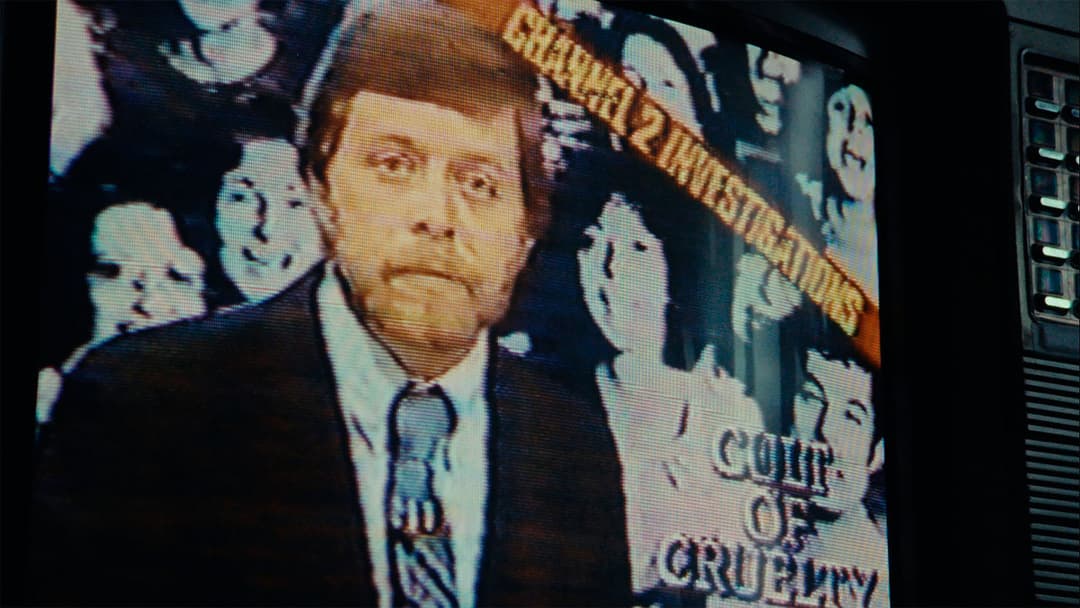 Going Sane: The Rise and Fall of the Center For Feeling Therapy backdrop 1