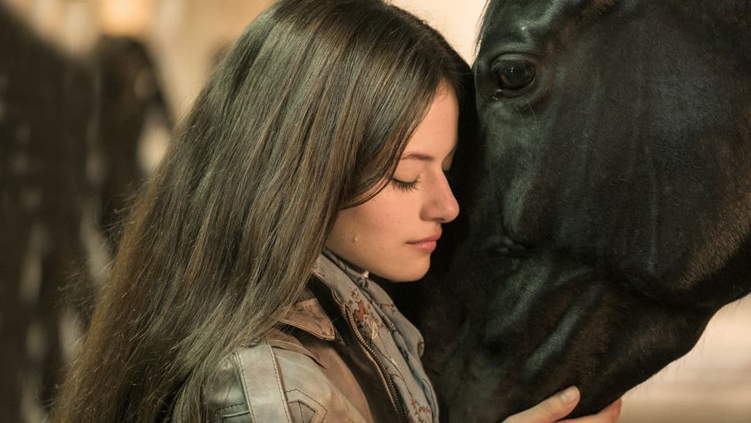 Black Beauty backdrop 6