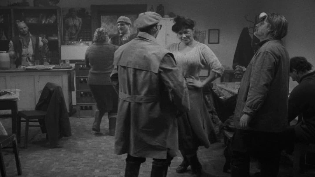 Satantango backdrop 9