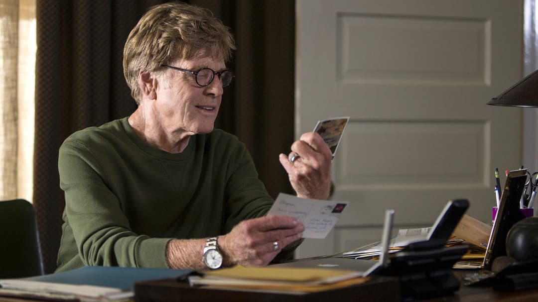 Picknick mit Bären backdrop 6