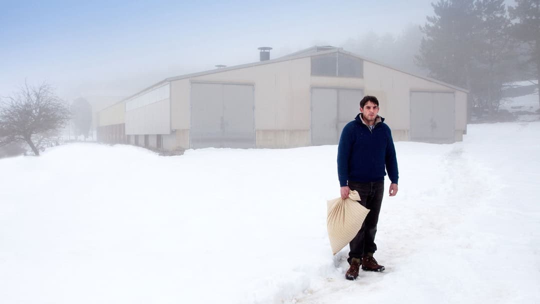 Only the Animals backdrop 1