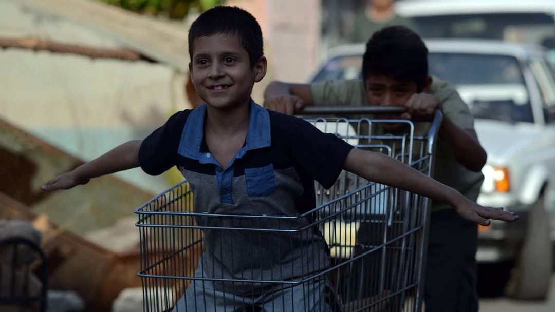 Tigers Are Not Afraid backdrop 6