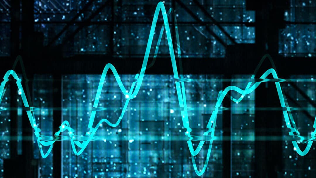 The Signal backdrop 9