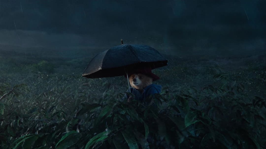 Paddington in Peru backdrop 13