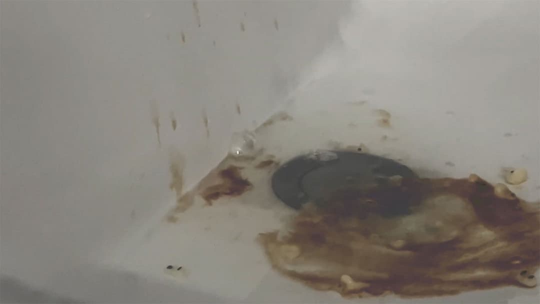 Counting (Backwards) backdrop 4