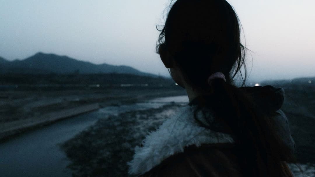 An Elephant Sitting Still backdrop 19