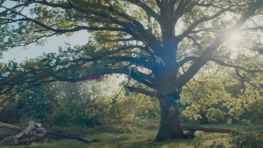 Bridget Jones: Mad About the Boy backdrop 19