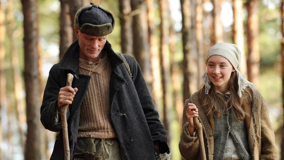 Шлях додому backdrop 10