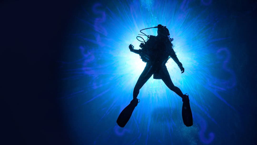 Sea Fever backdrop 7