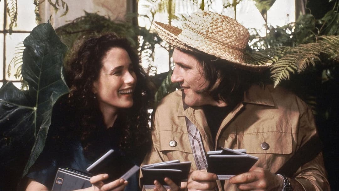 Green Card backdrop 5