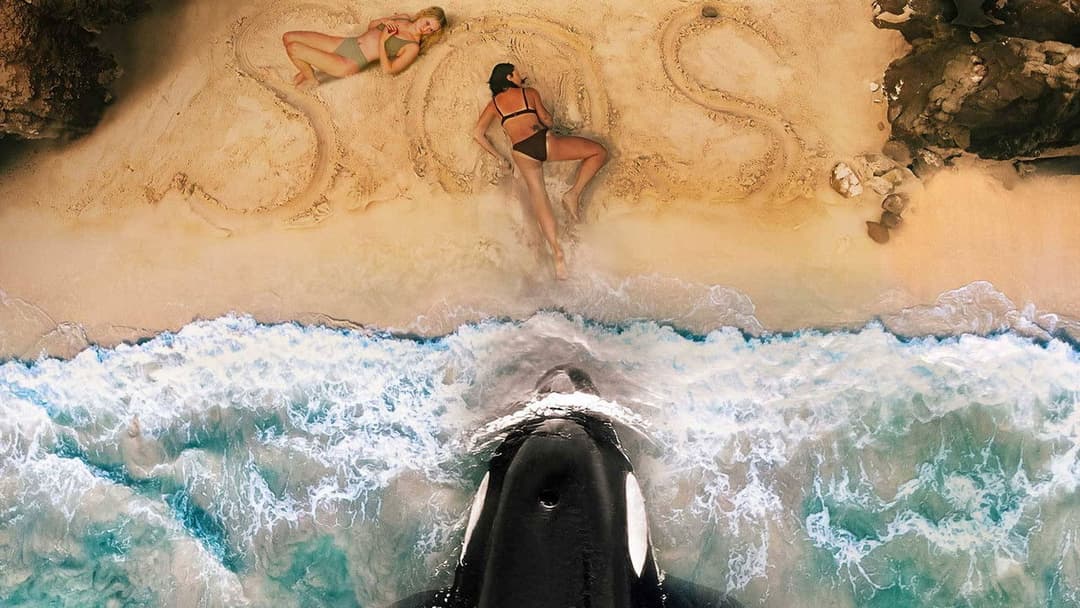 Killer Whale backdrop 2