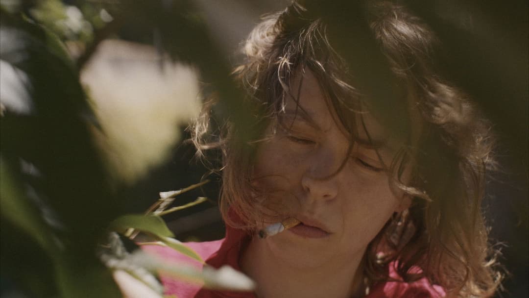 La belle année backdrop 2