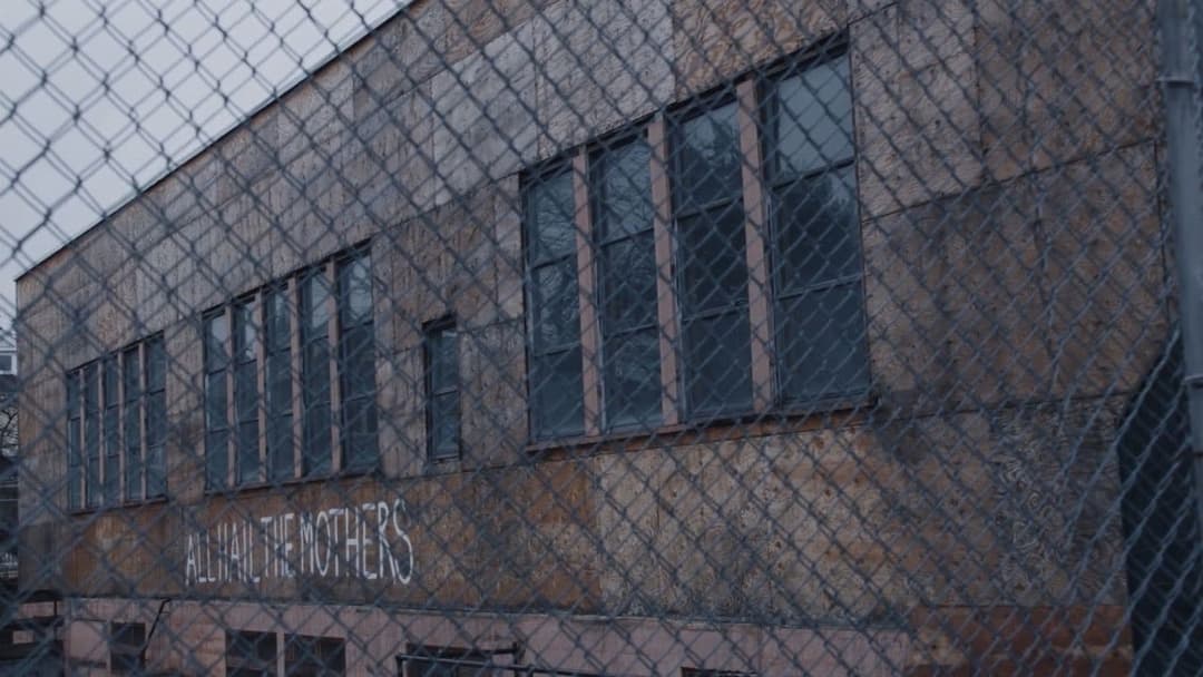 Світло мого життя backdrop 9