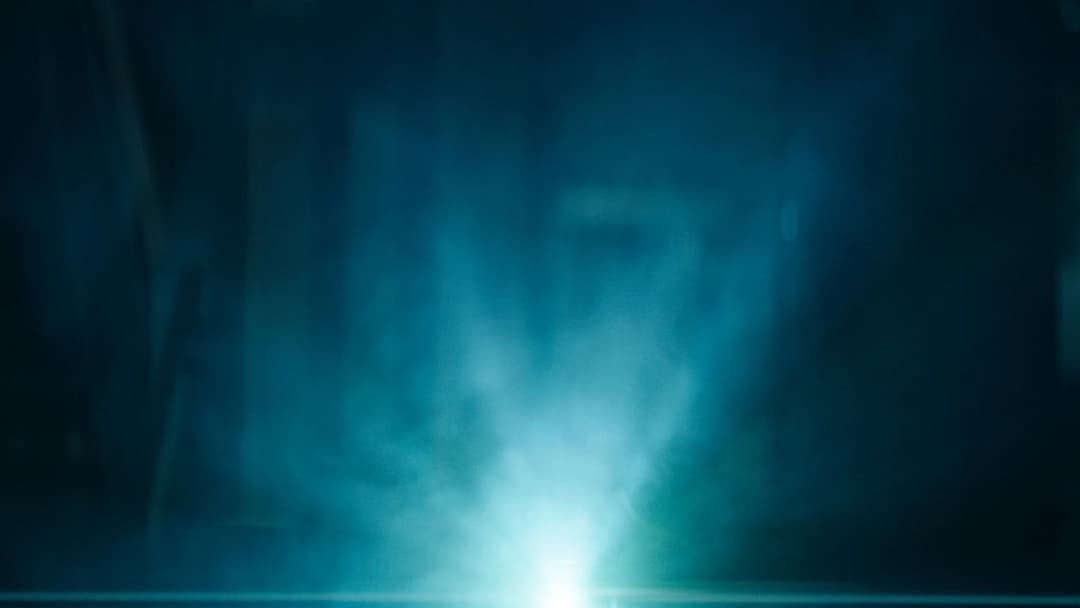 The Abnormal Beauty Company backdrop 5