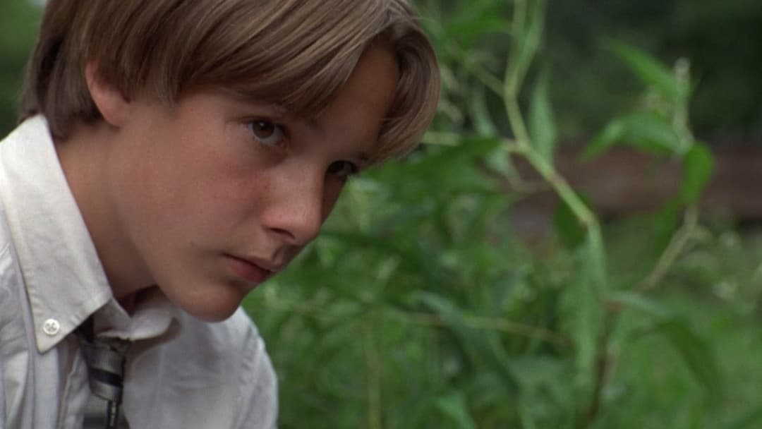 Mississippi - Fluss der Hoffnung backdrop 10