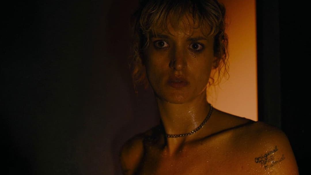 Титан backdrop 14