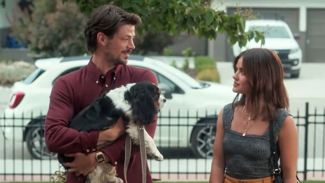 Puppy Love - Hunde zum Verlieben backdrop 8