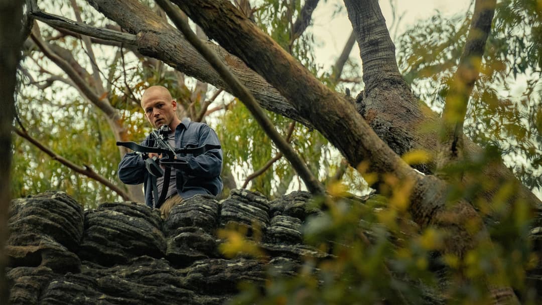 Верхівковий хижак backdrop 1