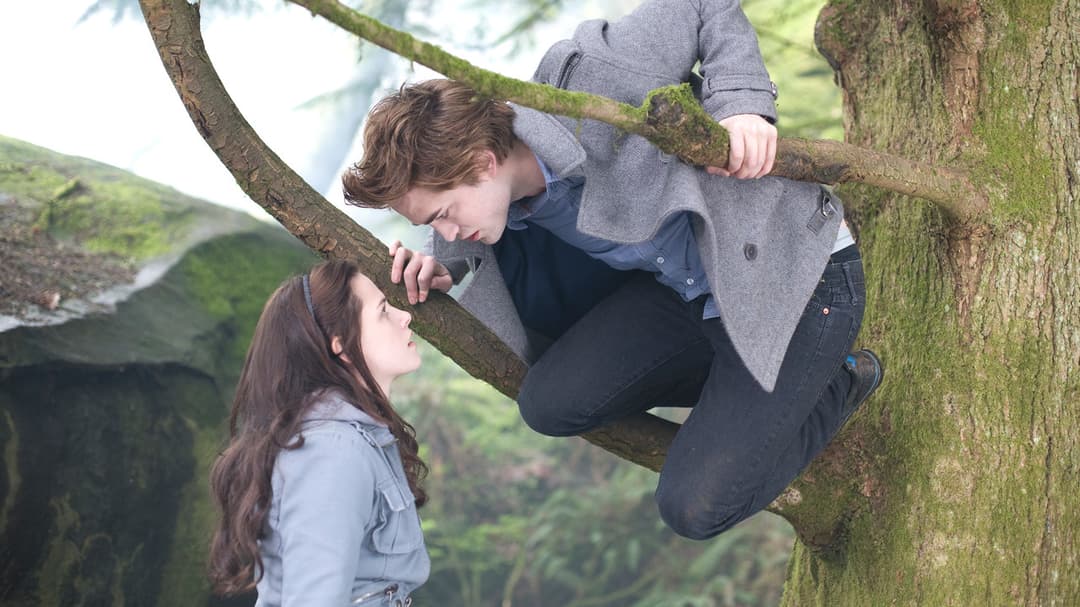 Twilight - Biss zum Morgengrauen backdrop 5