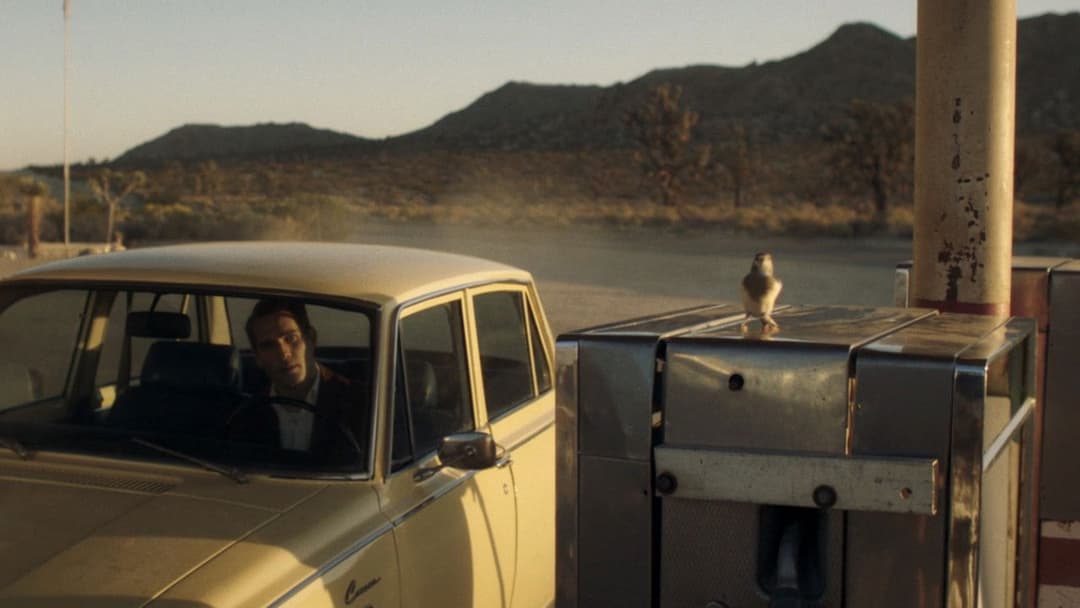 The Last Stop in Yuma County backdrop 14