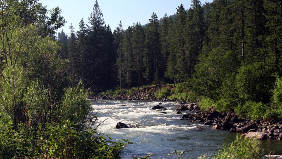 Aus der Mitte entspringt ein Fluß backdrop 15
