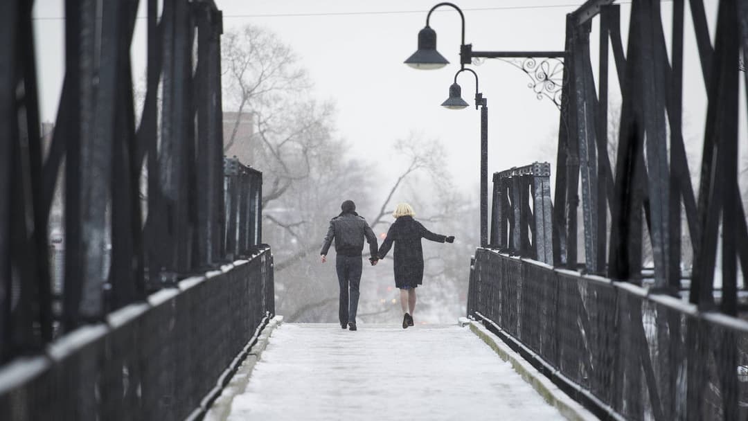 Stories We Tell backdrop 3