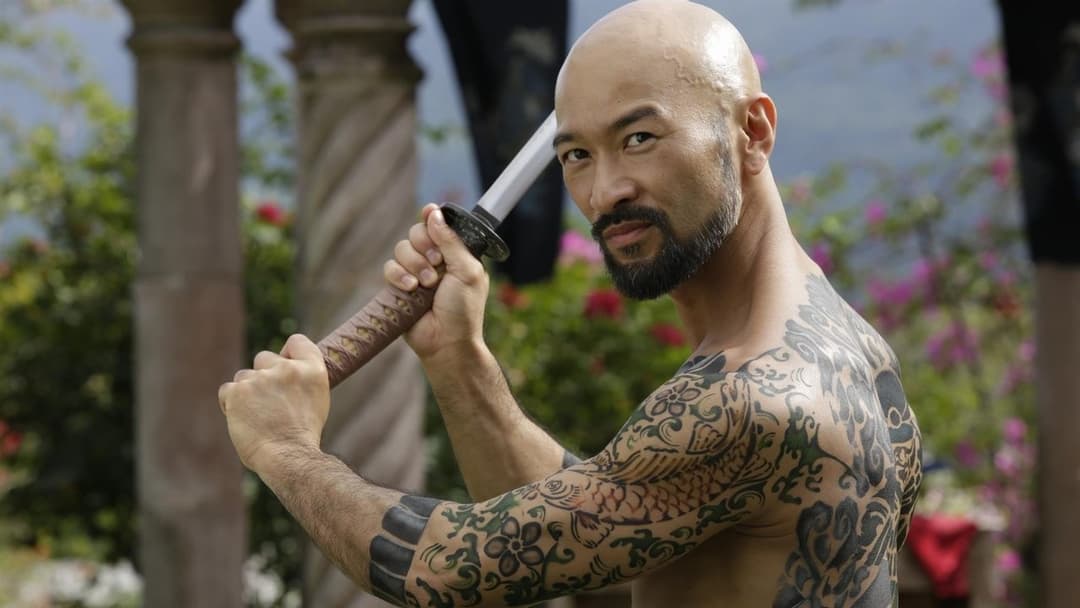 Сходження Сокола